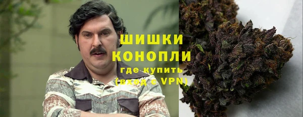 прущие грибы Семикаракорск
