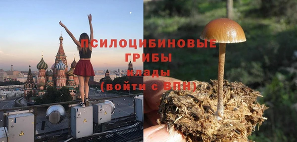 герыч Бронницы
