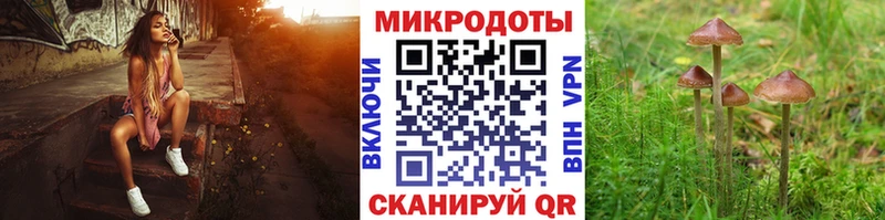 Псилоцибиновые грибы мицелий  MEGA ССЫЛКА  Новохопёрск 